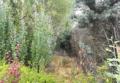 Chalet independiente con terreno en venta en la España, Grijota, ref: TR142909 foto