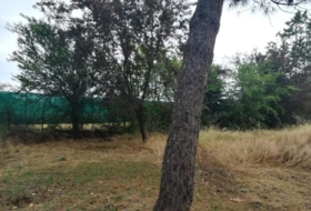 Grijota 8198&nbsp;m² 
