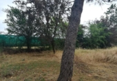 Chalet independiente con terreno en venta en la España, Grijota, ref: TR142909 foto