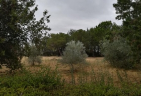 Grijota 8198&nbsp;m² 