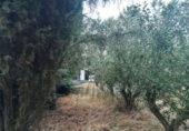 Chalet independiente con terreno en venta en la España, Grijota, ref: TR142909 foto