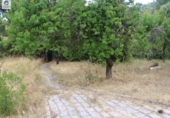 Chalet independiente con terreno en venta en la España, Navahondilla, ref: TR144129 foto