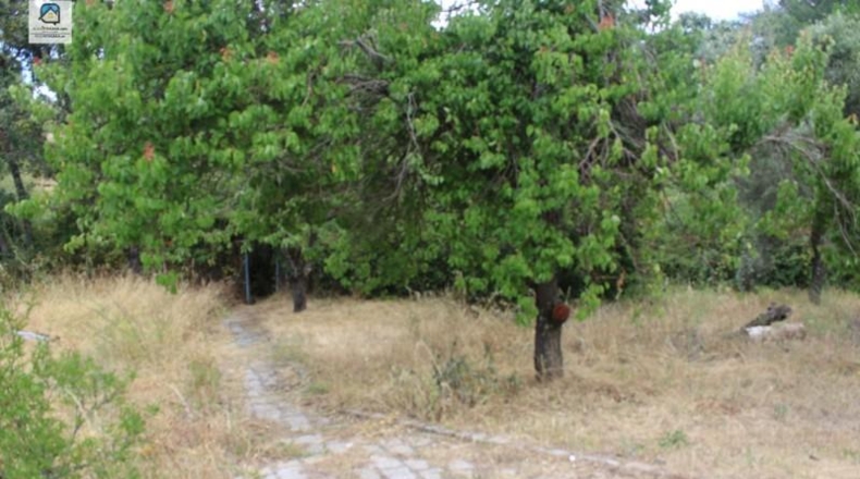 Ávila - Navahondilla - 1400m2