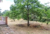 Chalet independiente con terreno en venta en la España, Navahondilla, ref: TR144129 foto