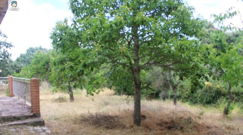 Ávila - Navahondilla - 1400m2