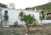 Terreno no urbanizable en venta en la España, Benaocaz, ref: TR119238 foto