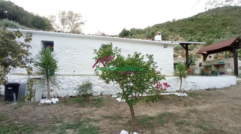 Cádiz - Benaocaz - 76017m2