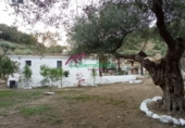 Terreno no urbanizable en venta en la España, Benaocaz, ref: TR119238 foto