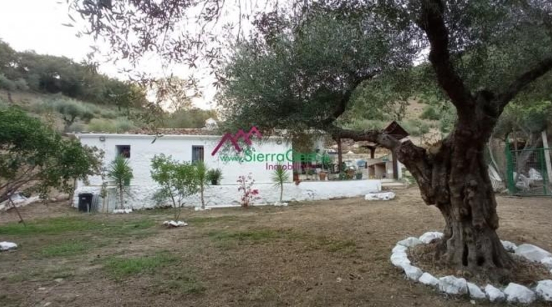 Cádiz - Benaocaz - 76017m2