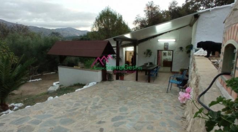Cádiz - Benaocaz - 76017m2