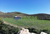 Chalet independiente con terreno en venta en la España, Lorca, ref: TR141397 foto