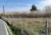 Terreny no urbanitzable en venda a la España, Múrcia, ref.: TR171171 foto