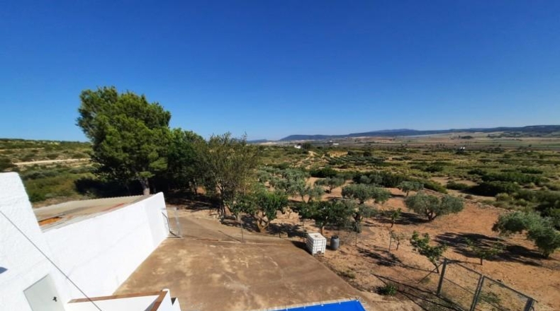 Albacete - Almansa - 4088m2