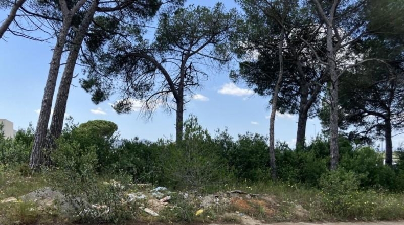 Gerona - l'Escala - 1020m2