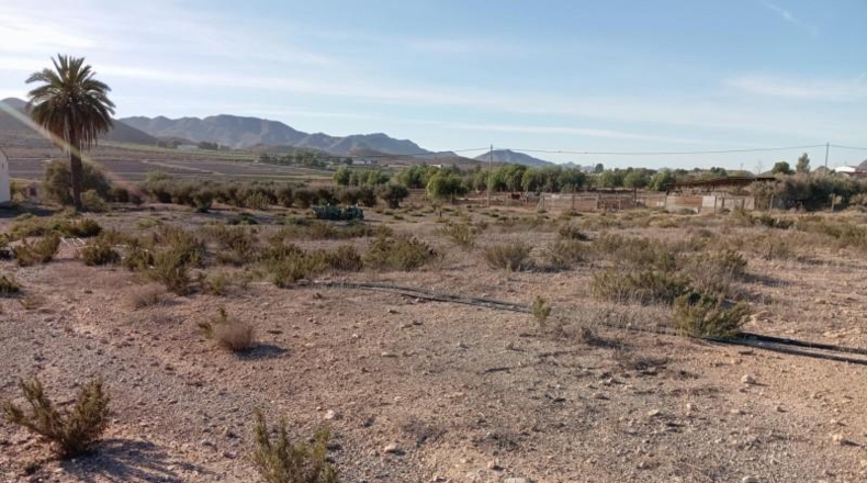 Murcia - Lorca - 26000m2