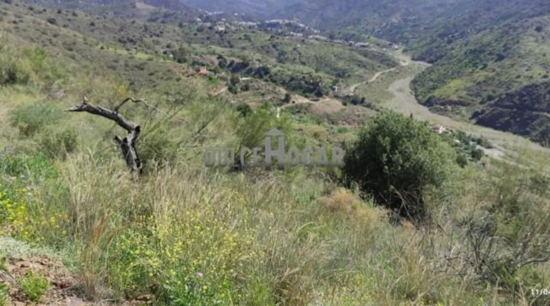 Malaga - Málaga - 34094m2