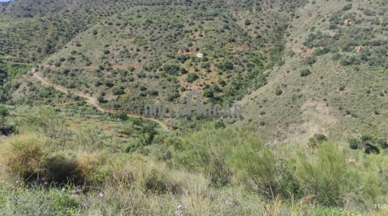 Malaga - Málaga - 34094m2