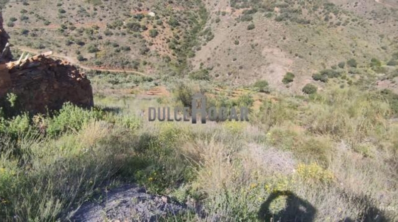 Malaga - Málaga - 34094m2