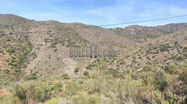 Malaga - Málaga - 34094m2