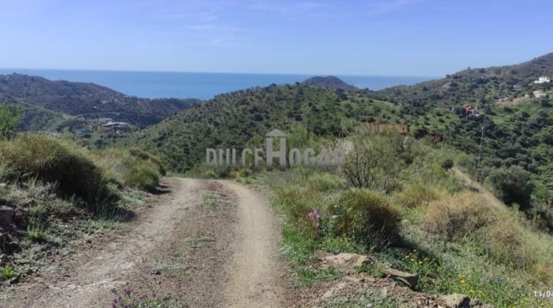 Malaga - Málaga - 34094m2