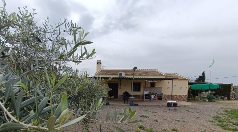 Cadiz - Villamartín - 3500m2