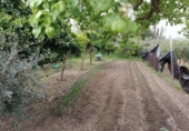 Terreno no urbanizable en venta en la España, Villamartín, ref: TR130011 foto