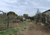 Terreno no urbanizable en venta en la España, Villamartín, ref: TR130011 foto
