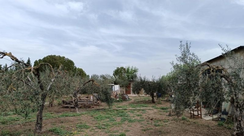 Cadiz - Villamartín - 3500m2