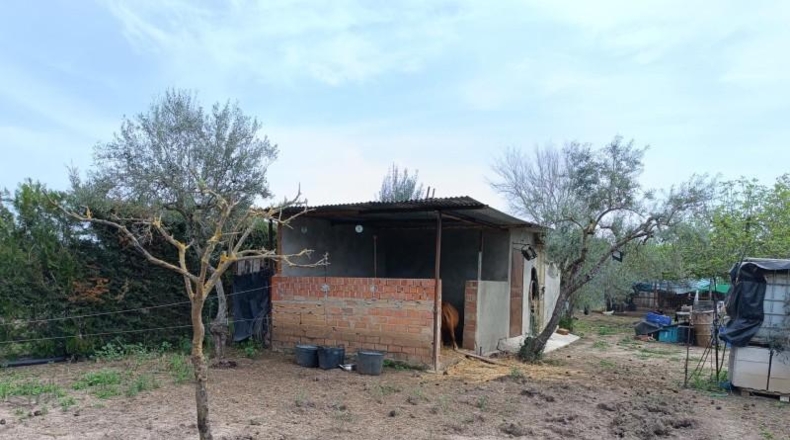 Cadiz - Villamartín - 3500m2