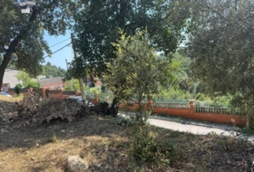 Foto 9