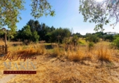 Chalet independiente con terreno en venta en la España, Badajoz, ref: TR317937 foto