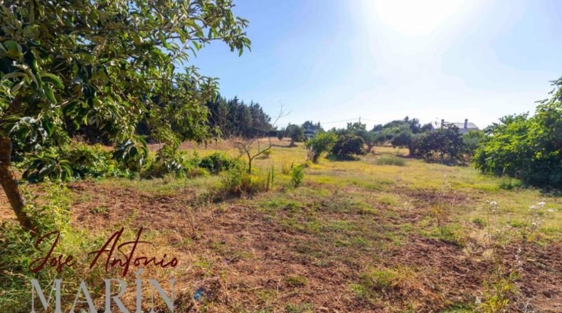 Badajoz - Badajoz - 7500m2