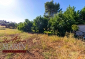 Chalet independiente con terreno en venta en la España, Badajoz, ref: TR317937 foto