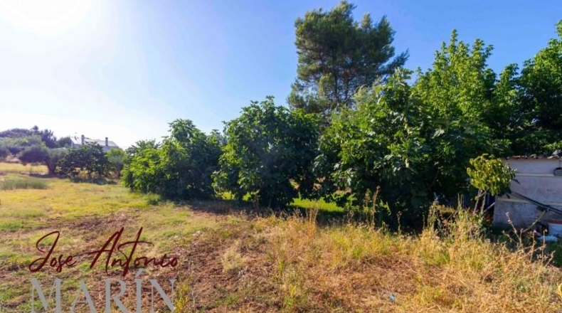 Badajoz - Badajoz - 7500m2