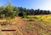 Chalet independiente con terreno en venta en la España, Badajoz, ref: TR317937 foto