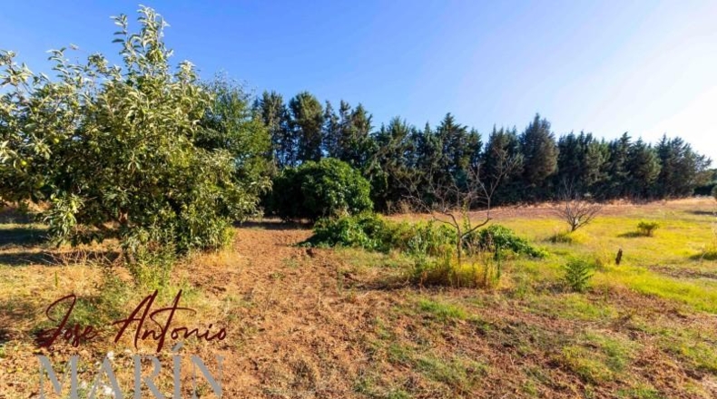 Badajoz - Badajoz - 7500m2