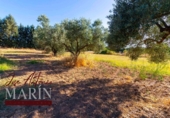 Chalet independiente con terreno en venta en la España, Badajoz, ref: TR317937 foto
