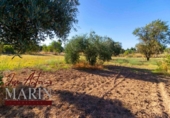 Chalet independiente con terreno en venta en la España, Badajoz, ref: TR317937 foto