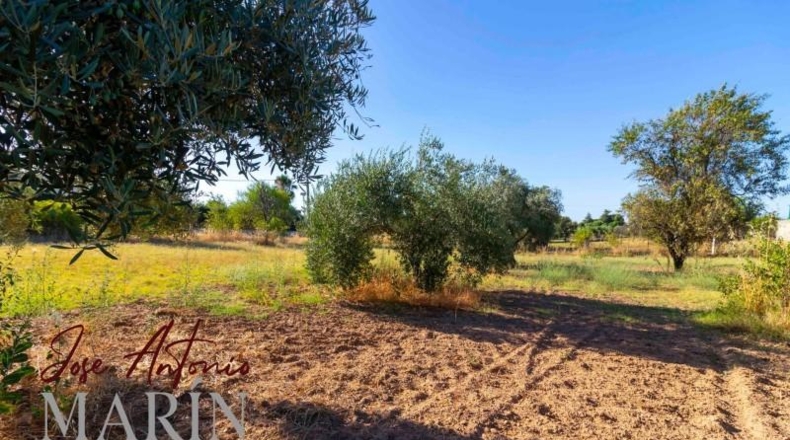 Badajoz - Badajoz - 7500m2