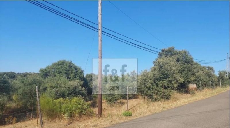 Caceres - Plasencia - 17500m2