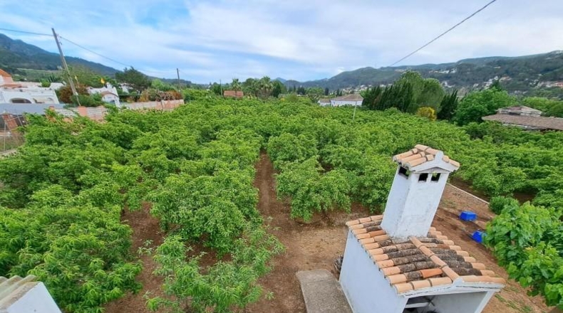 Valencia - Alcira - 166m2