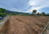 Xalet independent amb terreny en venda a la España, Alzira, ref.: TR243502 foto