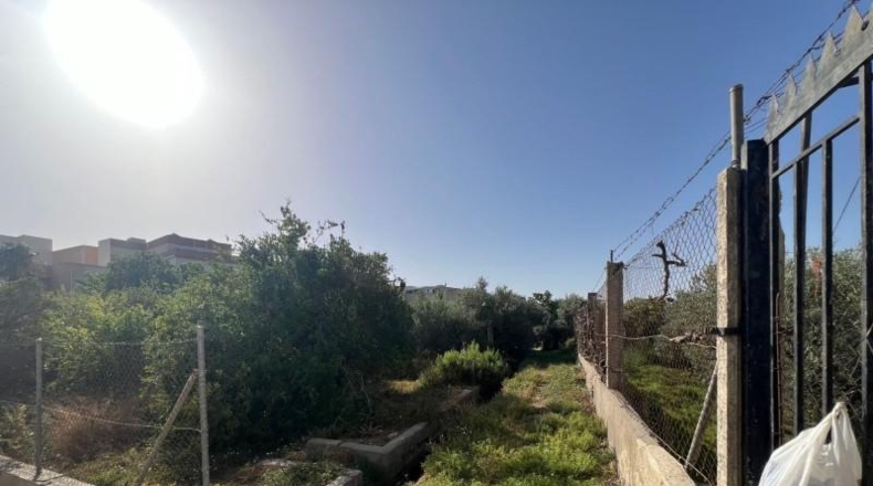Almeria - Viator - 12500m2