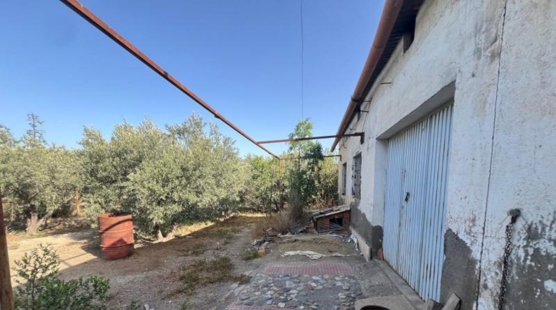 Almeria - Viator - 12500m2