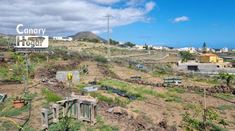 Santa Cruz de Tenerife - San Miguel de Abona - 4300m2