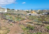 Casa amb terreny en venda a la España, San Miguel de Abona, ref.: TR403630 foto