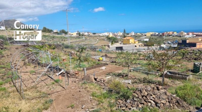 Santa Cruz de Tenerife - San Miguel de Abona - 4300m2
