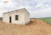 Finca rústica en venda a la España, Chipiona, ref.: TR301069 foto