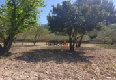 Casa de campo con terreno en venta en la España, Ontinyent, ref: TR147786 foto