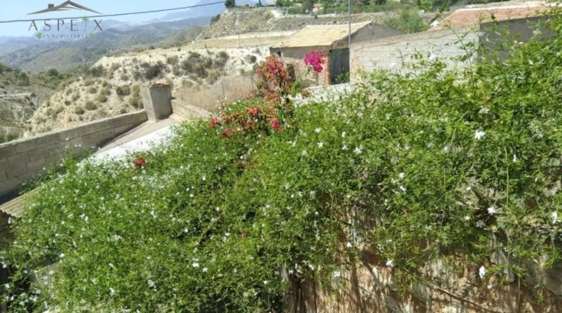 Múrcia - Abanilla - 300m2